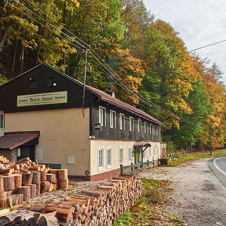 Pod Svatou Annou - Penzion A Rizkovna Horni Marsov Exterior photo